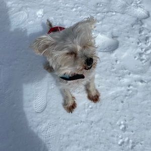 Meet your Posher, James